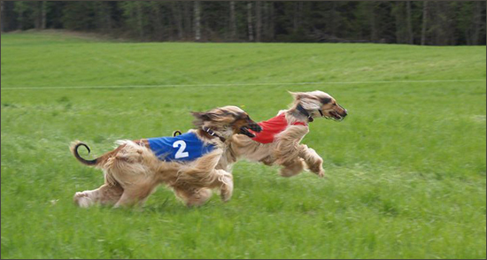 c227096_10150200990689240_749914239_7075102_2757161_n.jpg