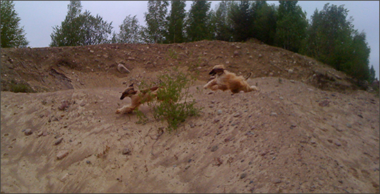 cIMG_1140.jpg