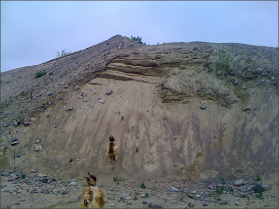 cIMG_1145.jpg