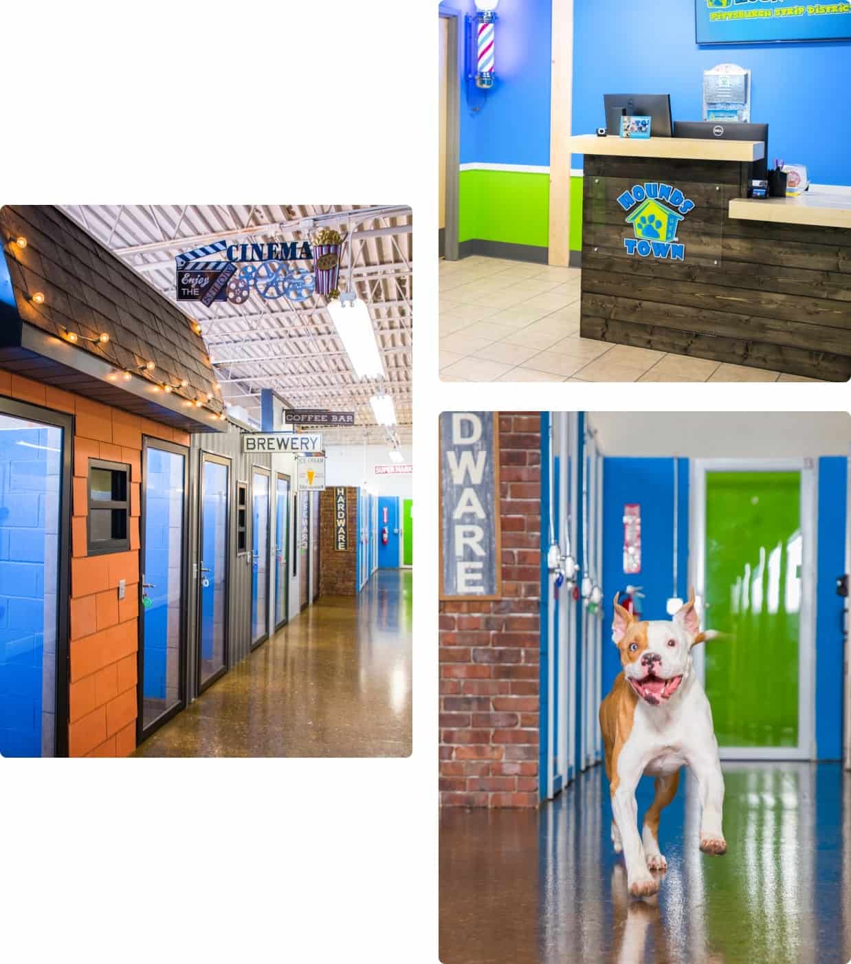 Dog Daycare Franchises