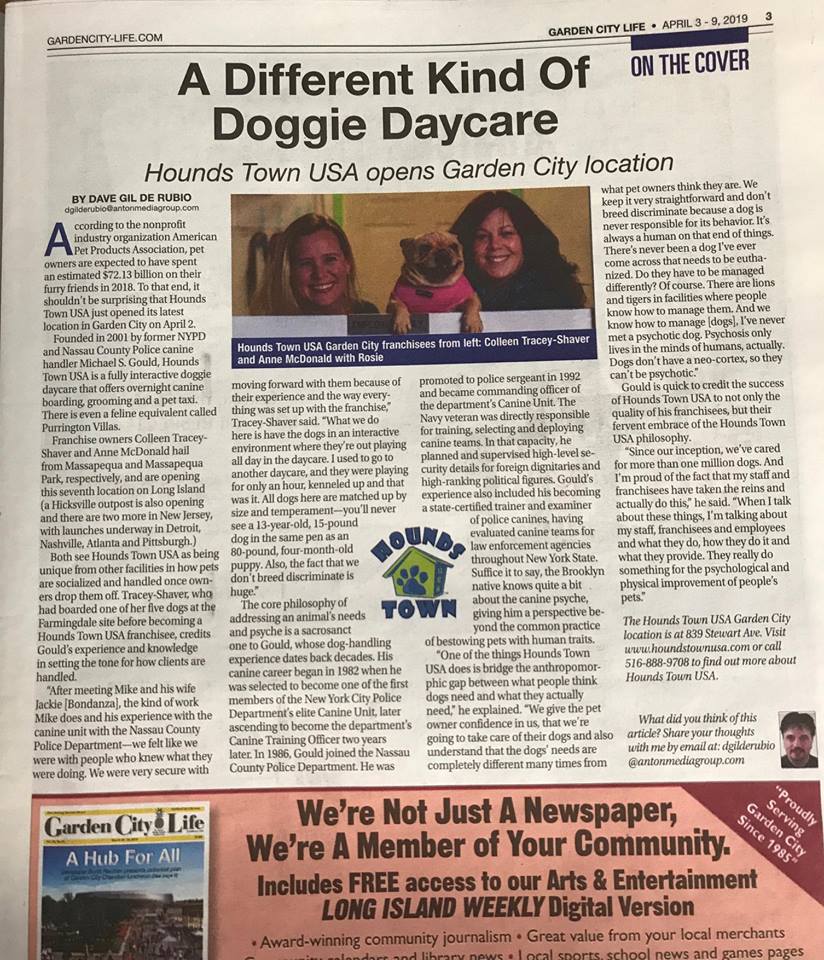 Hounds Town Garden City Doggie Day Care Opening