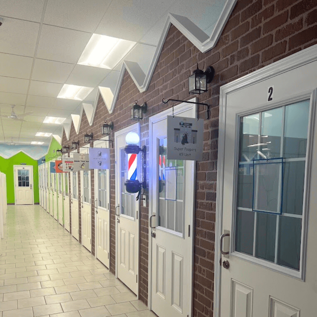 Row of affordable luxury dog boarding suites at Hounds Town doggy daycare