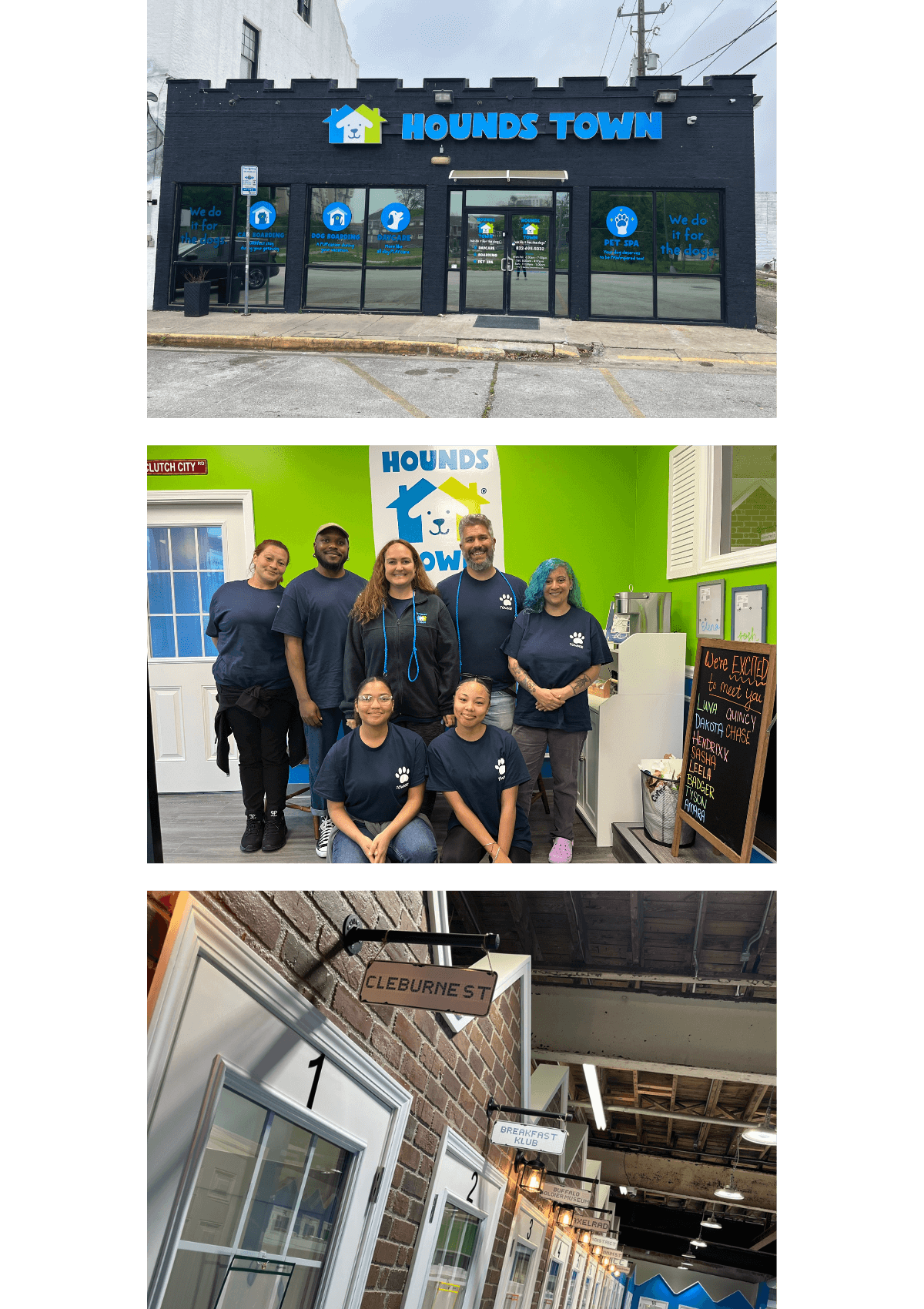 Doggy daycare in Midtown Houston, Texas - Hounds Town