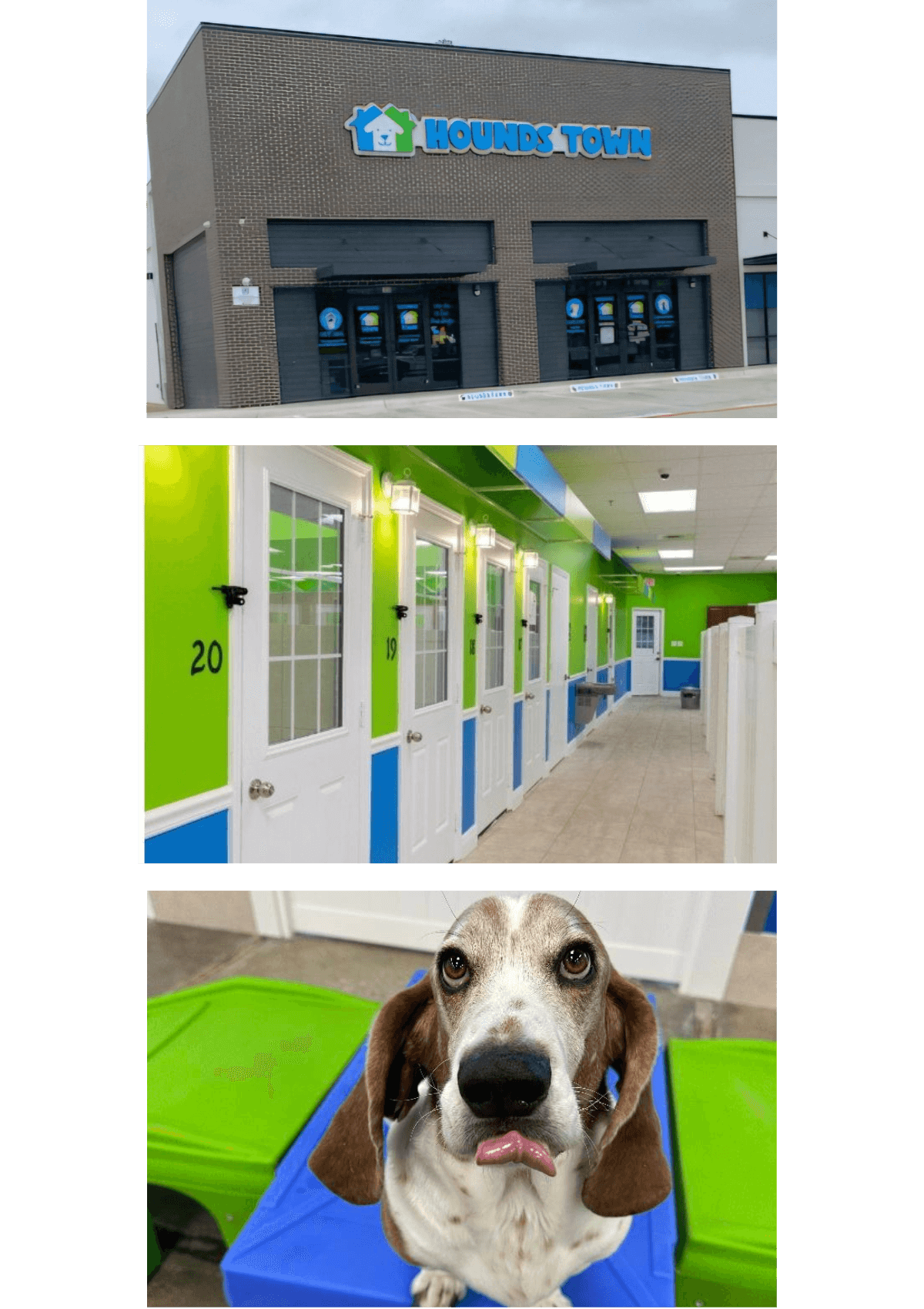 Dog daycare and boarding facility, Hounds Town, in North Richland Hills, Texas